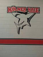 Kölner Haie